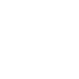 Social Media Icon 1